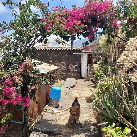 Bed and Breakfast Abracaribes Arecida Екстер'єр фото