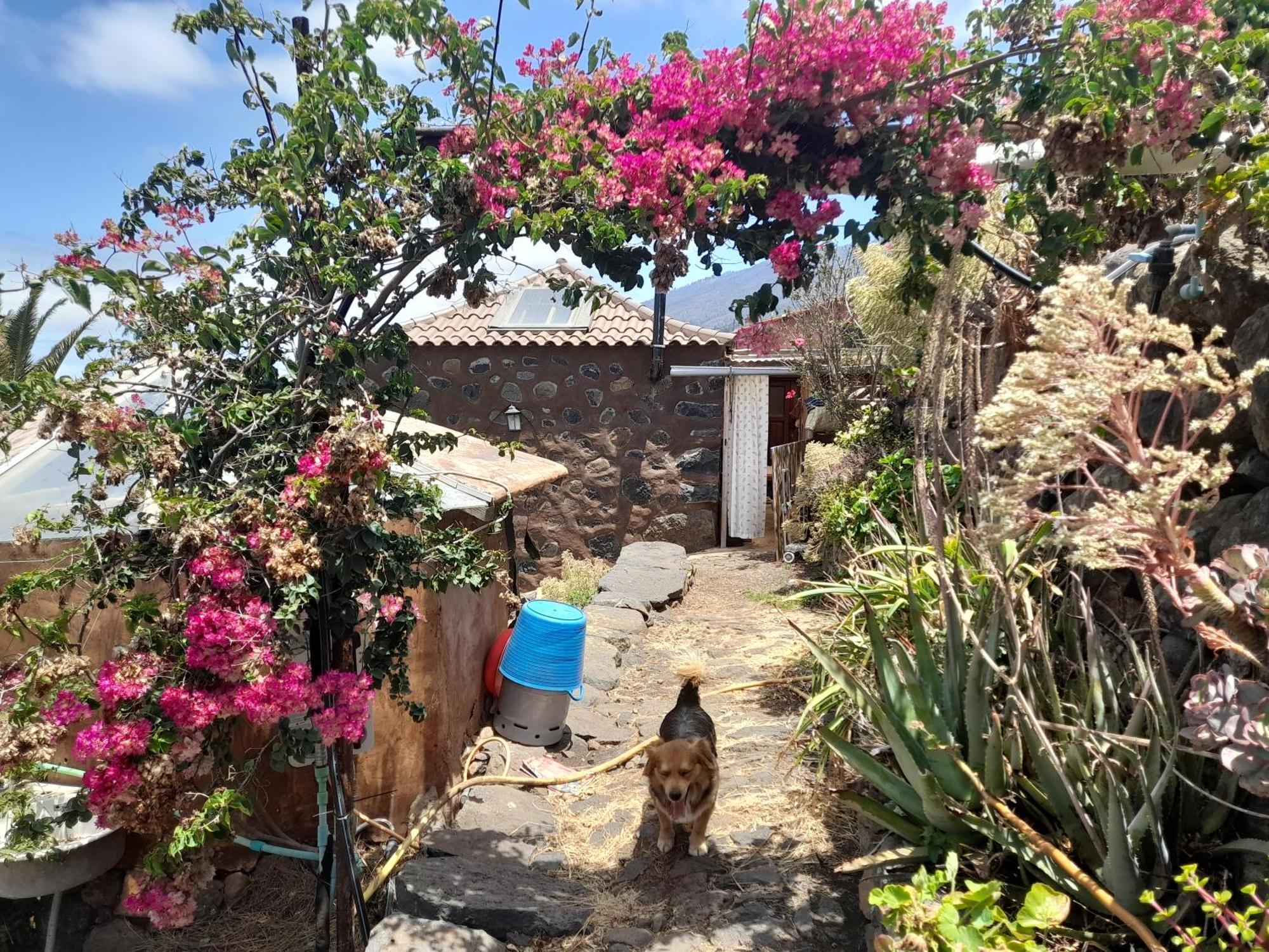 Bed and Breakfast Abracaribes Arecida Екстер'єр фото