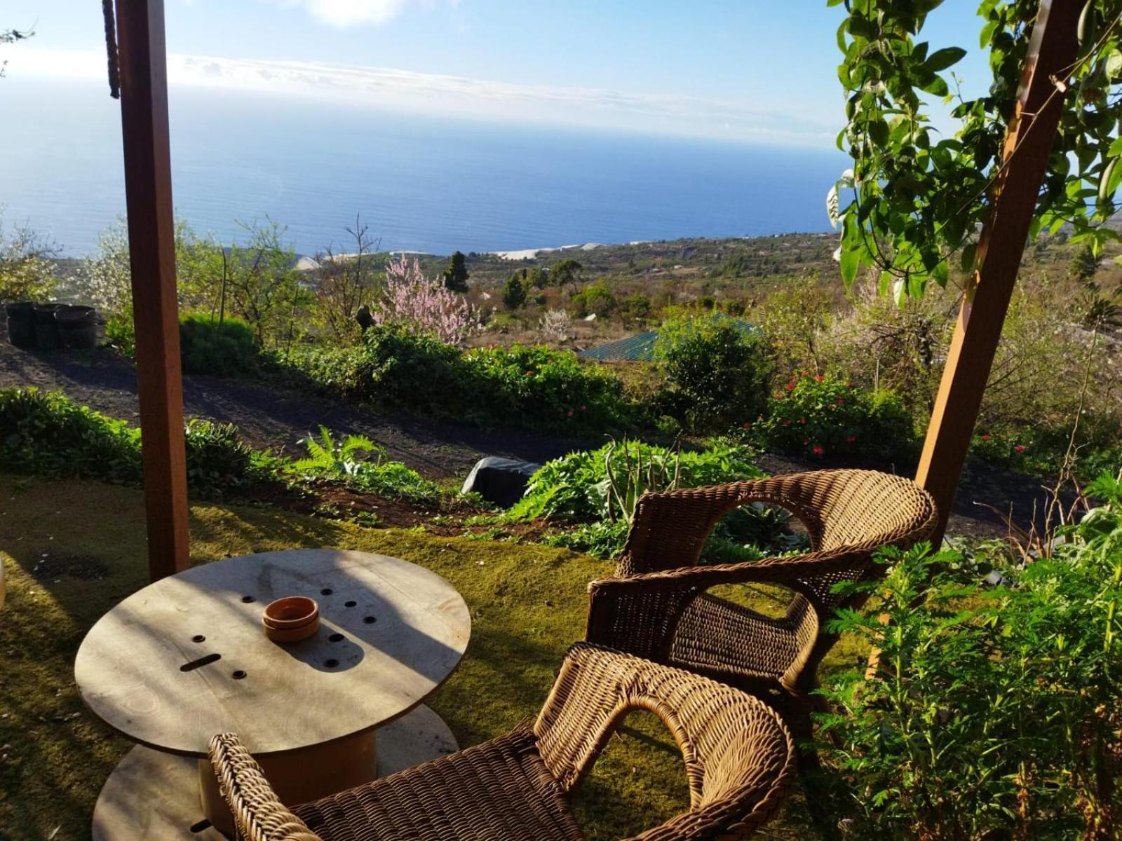 Bed and Breakfast Abracaribes Arecida Номер фото