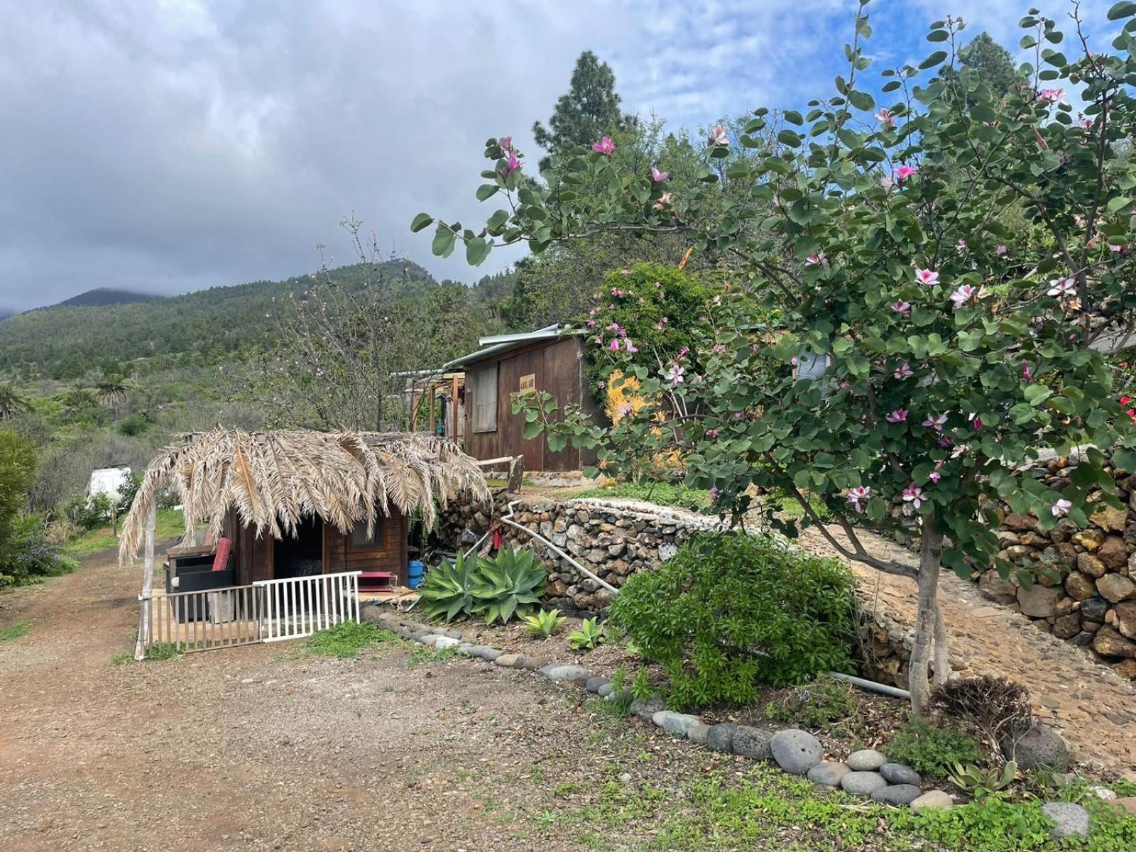 Bed and Breakfast Abracaribes Arecida Екстер'єр фото