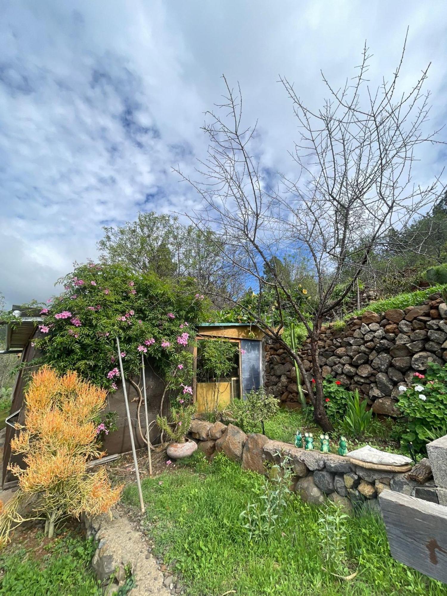 Bed and Breakfast Abracaribes Arecida Екстер'єр фото