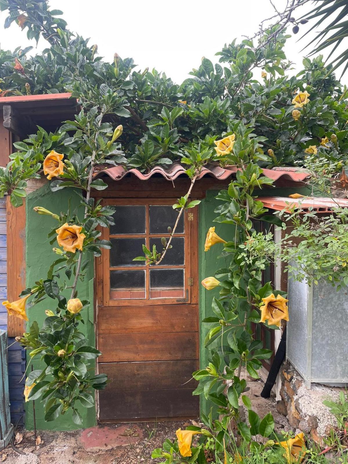 Bed and Breakfast Abracaribes Arecida Екстер'єр фото